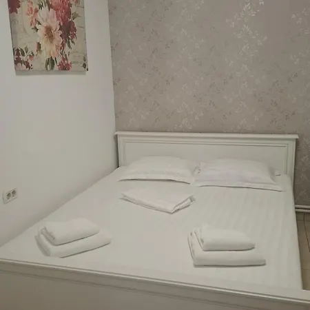 Guest house Casa Visan