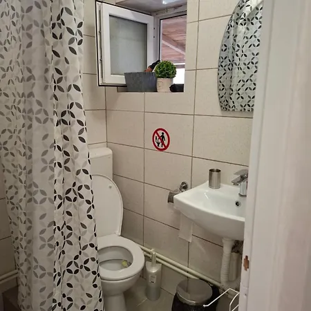 Guest house Casa Visan *