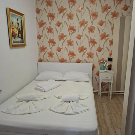 Casa Visan Guest house *
